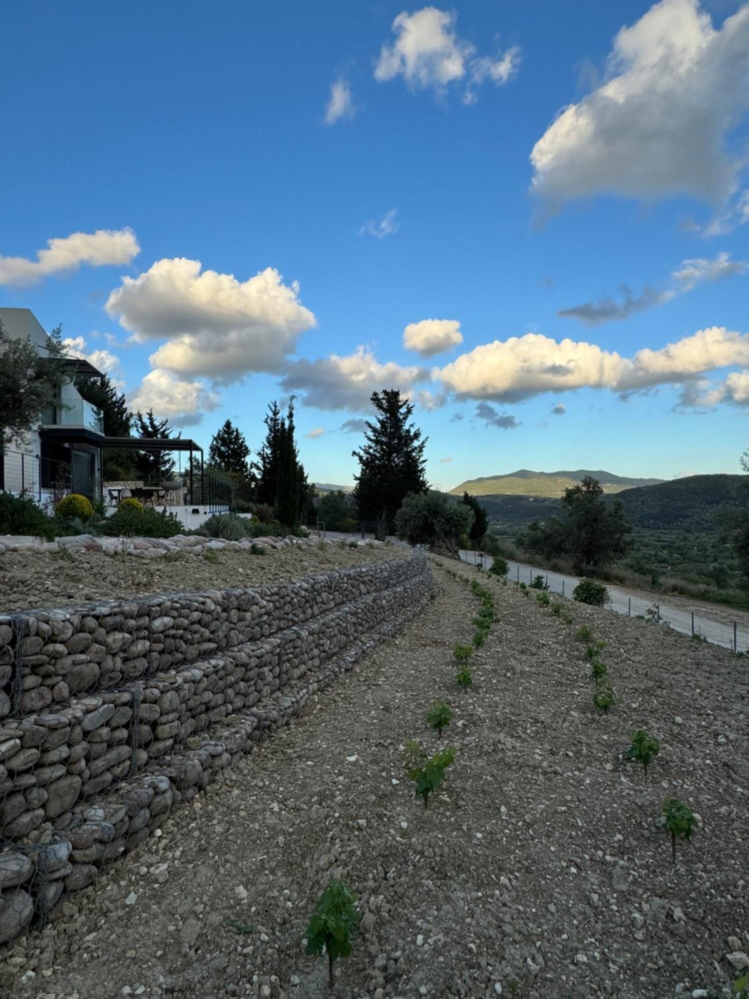 Vasiliki Houses Exterior foto